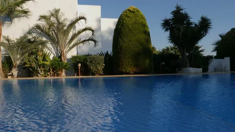 Palms and swimming pool Stock Footage 98084045