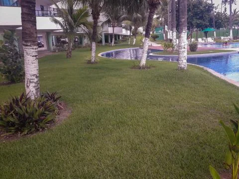 Palms and trees in Flat Resort of Brazil. Stock Photos