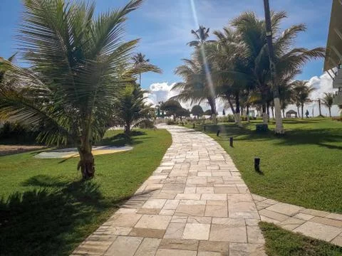 Palms and trees in Flat Resort of Brazil. Foto stock