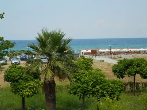 Palms and trees in front of sandy beach of Aegean sea Stock Photos
