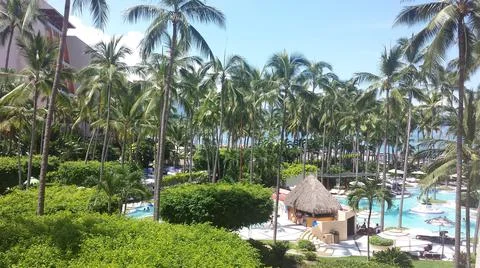 Palms around resort pool at the beach Stock Photos
