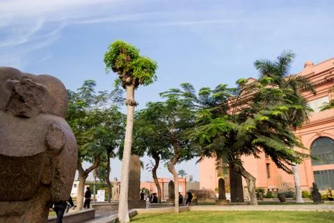 Palms on background in Cairo, Egypt Stock Photos