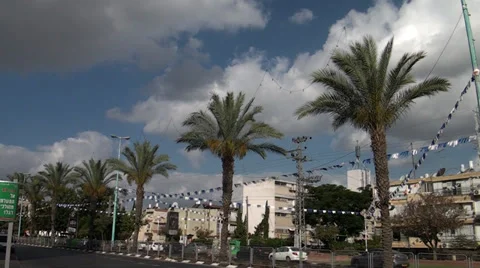 Palms on a background sky with clouds. Stock Footage 39669824