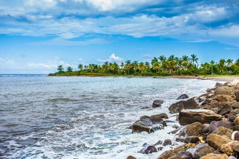 Palms bay 写真素材