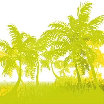 Palms on the beach and ocean Stock-Illustration