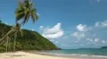 Palms on the beach of a beautiful island HD Footage