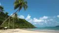 Palms on the beach of a beautiful island HD Footage