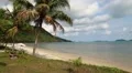 Palms on the beach of a beautiful island HD Footage