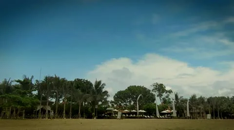 Palms on the beach Stock Footage 22272741