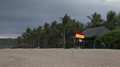 Palms on the beach 動画素材 40488824