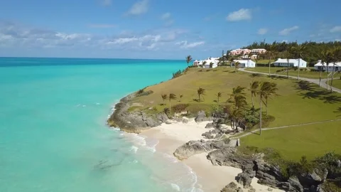 Palms at beach Stock Footage 210229526