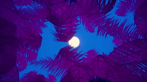 Palms on the beach. The night sky, Vacation, Stock Footage 157690041