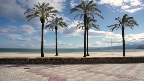 Palms beach Spain Video stock 166095997
