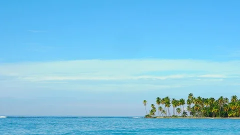 Palms beach. White sand beach stock video Dominican Republic Punta Cana beaches. Stock Footage 120798588
