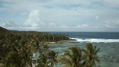 Palms, beaches, waves and ocean by drone Stock Footage 103542426
