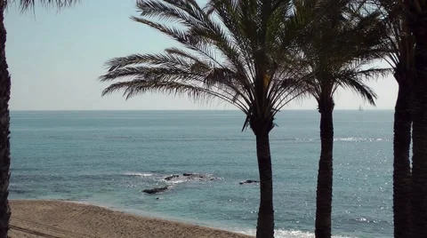 Palms blue sea sky beach sand horizon.mp4 Stock Footage 48624331