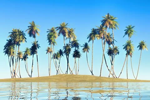 Palms on blue sky Illustrazione stock
