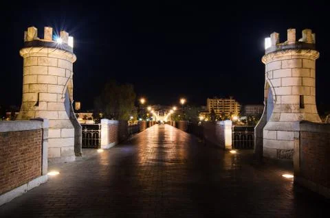 Palms bridge Fotos de archivo