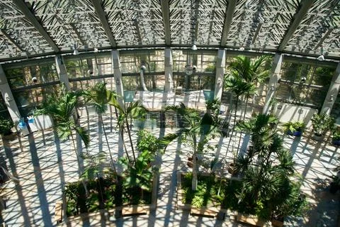 Palms in Central Concourse Stock Photos