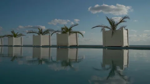 Palms clouds reflected in water Stock Footage 130677948