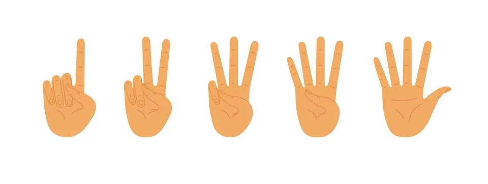 Palms count from one to five. Counting hands, hand gestures. Vector flat illu Stock Illustration