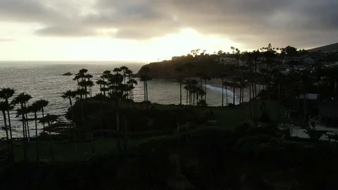 Palms Drone Laguna Beach Stock Footage 111234267