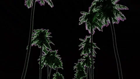 Palms edge green Stock Footage 142590461