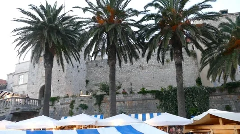Palms in Front Old Stone Walls Stock Footage 53869107