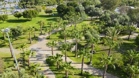 Palms Garden 1 Stock Footage 187674451