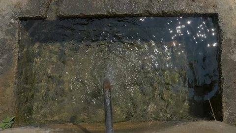 Palms gather spring water Stock Footage 100988720