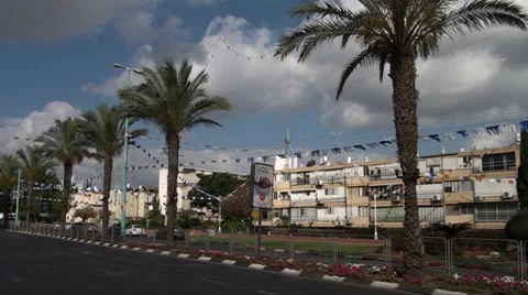 Palms growing on boulevard Stock Footage 39670185