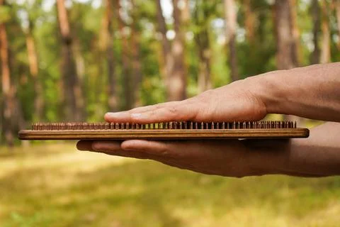 Palms of hands touch nails on the board. Sadhu board with nails are held by.. Stock Photos