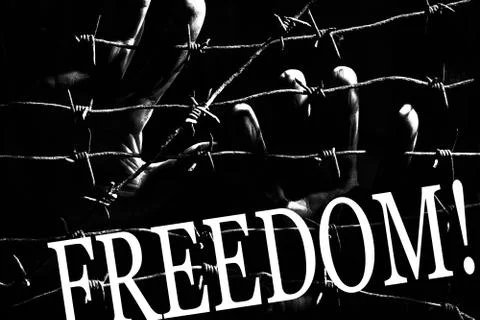 Palms of human hands behind barbed wires in the dark with writing: FREEDOM! Foto stock