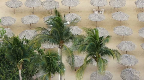 Palms With Huts Stock Footage 5790917