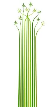 Palms Stock Illustration