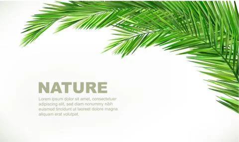 Palms Illustrazione stock