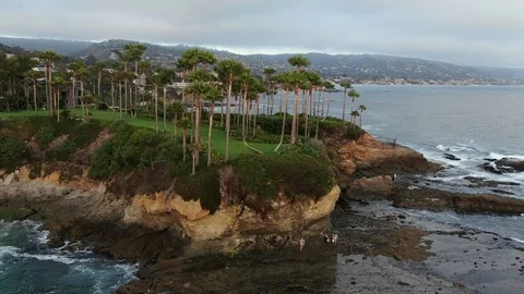 Palms Laguna Beach Drone Stock Footage 111234857