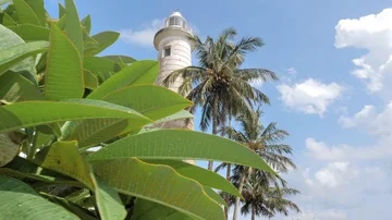 Palms Lantern Tropics Oceanside Slowmotion 4k Stock Footage 85777716
