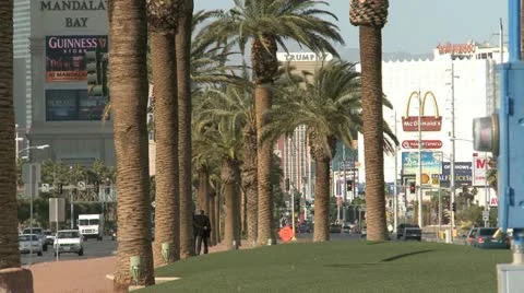 Palms on Las Vegas Blvd Stock Footage