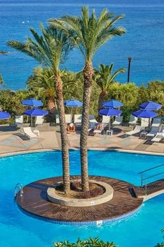 Palms in the middle of the pool Foto stock
