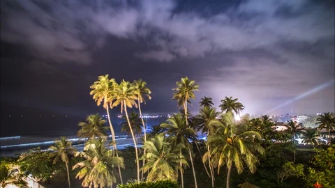 Palms Night Clouds View Timelapse 4k Stock Footage 85969678