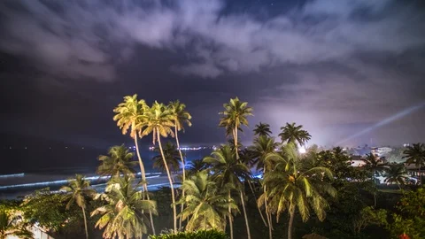 Palms Night Zoom Clouds View Timelapse 4k Stock Footage 85969723