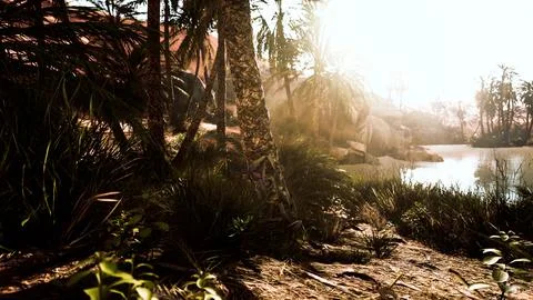 The Palms Oasis trail is one of many popular hikes in National Park Stock Illustration