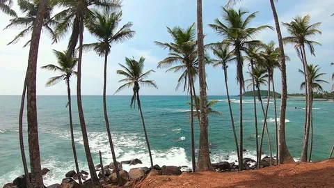 Palms Ocean Sri Lanka Stock Footage
