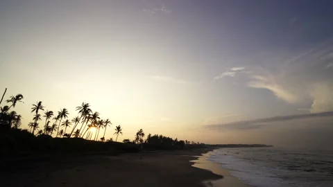 Palms on the ocean under the sun at dawn 스톡 동영상 135648549
