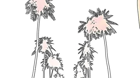 Palms outline 스톡 동영상 142590485