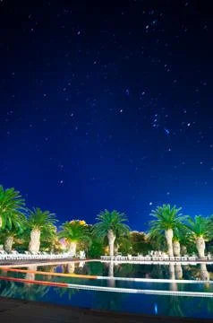 Palms on the pool at night Stock Photos