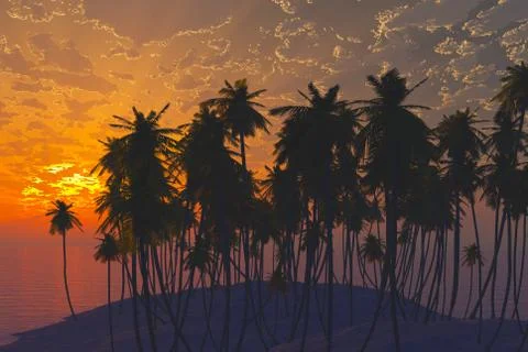 Palms on sand beach Stock Photos
