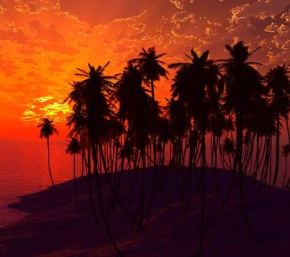 Palms on sand beach Stock Photos
