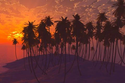 Palms on sand beach Stock Photos